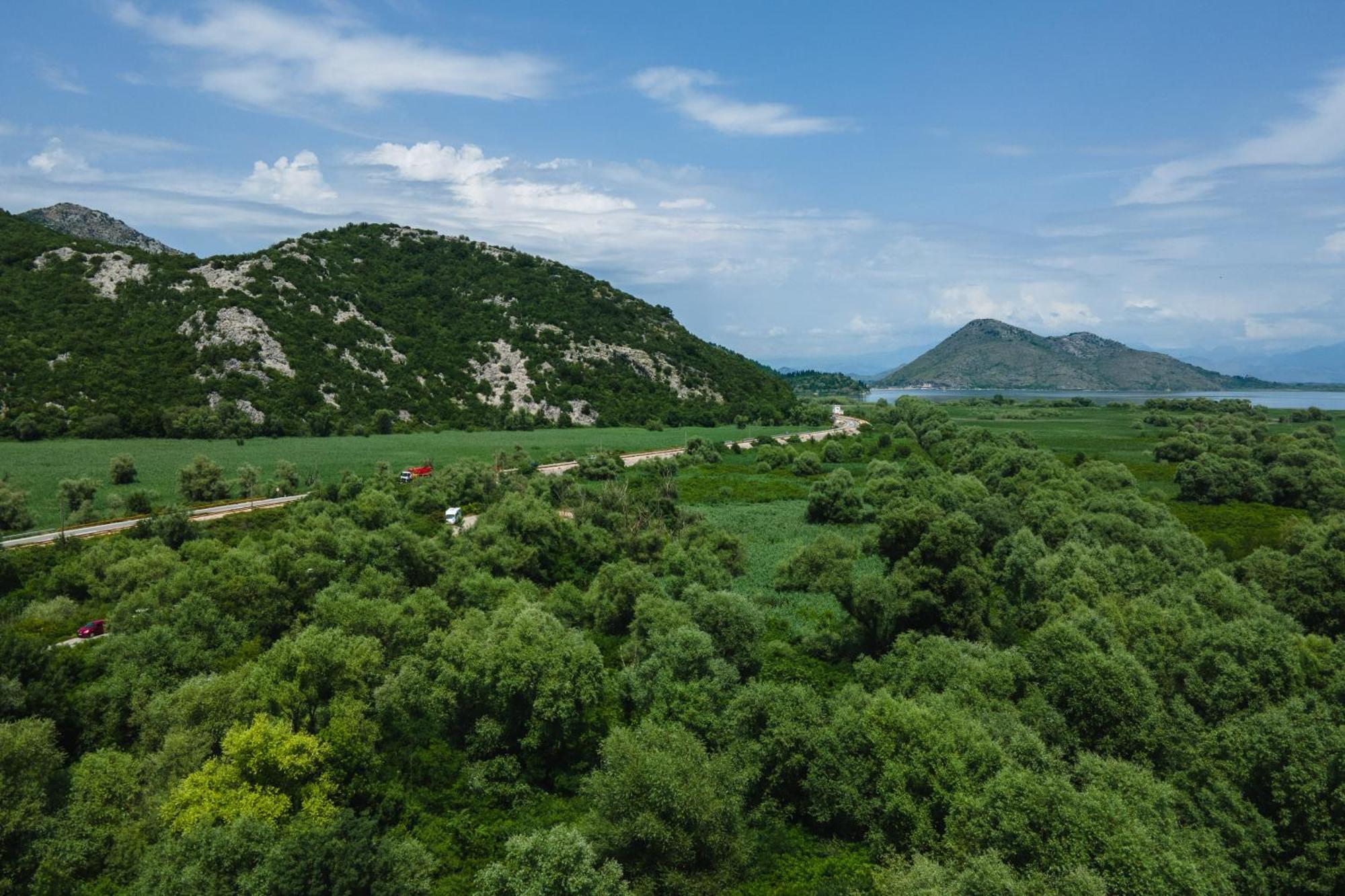 Green Hill Вирпазар Екстериор снимка
